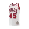 Men's Chicago Bulls Jordan #45 NBA Classic Jersey 1994/95 - buybasketballnow.net