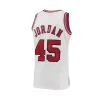 Men's Chicago Bulls Jordan #45 NBA Classic Jersey 1994/95 - buybasketballnow.net