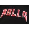 Adult Chicago Bulls Hoodie NBA Jersey - buybasketballnow.net