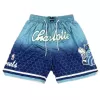 Men's Charlotte Hornets NBA Shorts - buybasketballnow.net