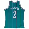 Men's Charlotte Hornets Larry Johnson #2 Swingman NBA Classic Jersey 1992/93 - buybasketballnow.net