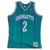 Men's Charlotte Hornets Larry Johnson #2 Swingman NBA Classic Jersey 1992/93 - buybasketballnow.net