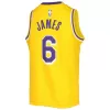 Kids's LeBron James #6 Swingman NBA Jersey - Icon Edition 2022/23 - buybasketballnow.net