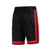 Men's Chicago Bulls Swingman NBA Shorts - City Edition 2023/24 - buybasketballnow.net