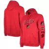 Adult Portland Trail Blazers Hoodie NBA Jersey - City Edition 2023/24 - buybasketballnow.net