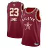 Men's All TEAM LeBron James #23 Swingman NBA Jersey 2024 - buybasketballnow.net